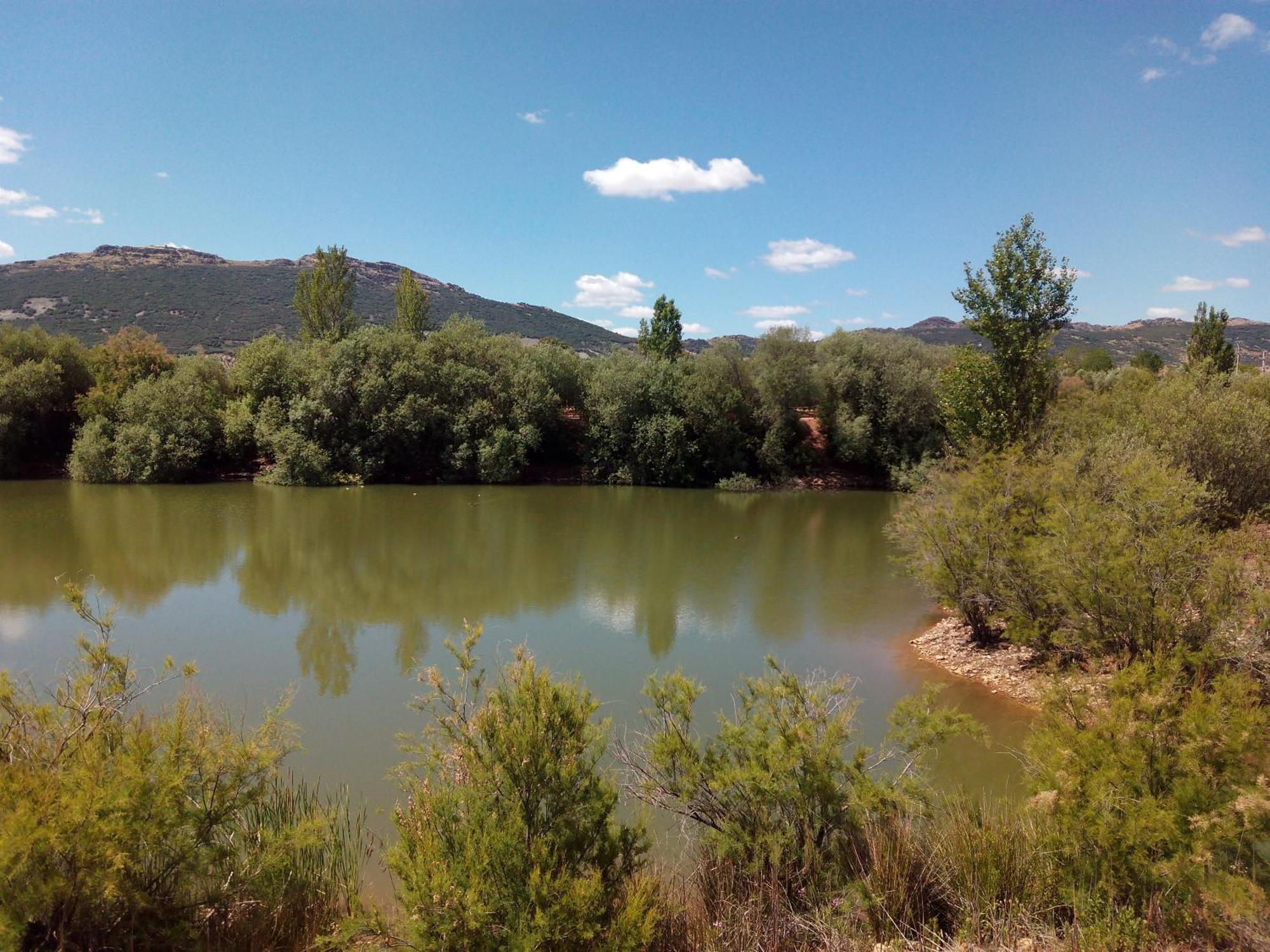 Complejo Turistico Rural Fuente Taray Διαμέρισμα Malagón Εξωτερικό φωτογραφία