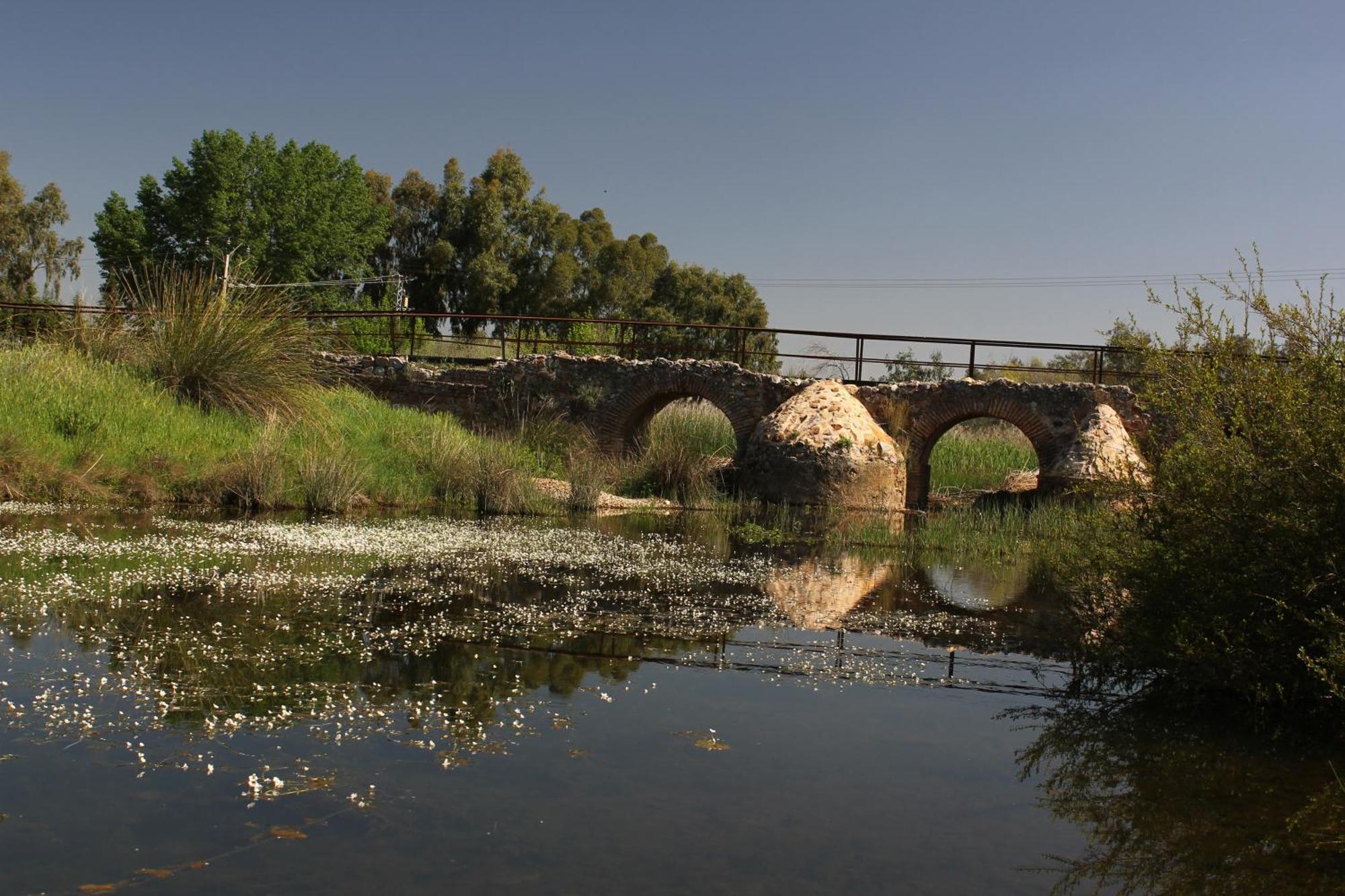 Complejo Turistico Rural Fuente Taray Διαμέρισμα Malagón Εξωτερικό φωτογραφία