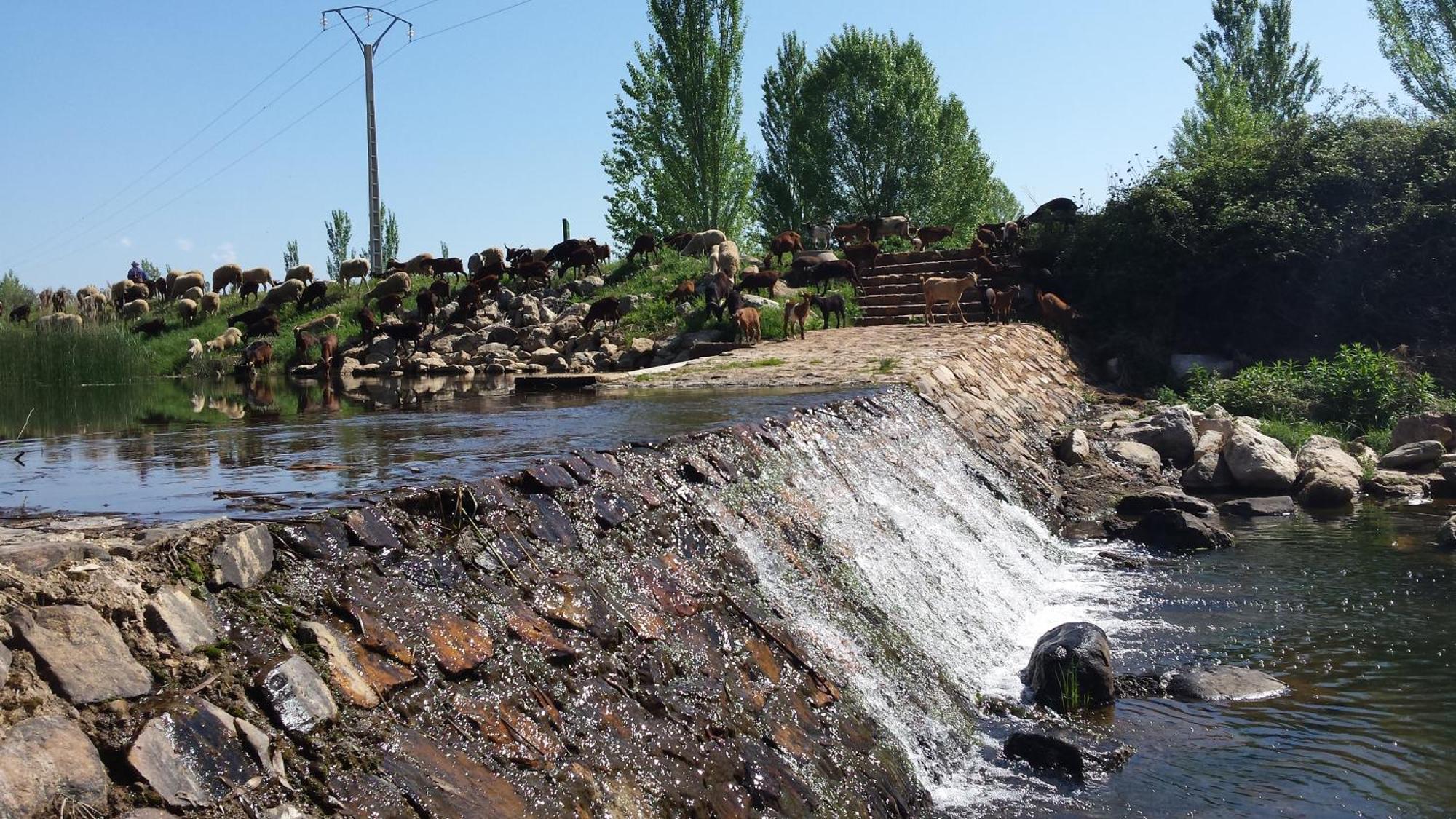 Complejo Turistico Rural Fuente Taray Διαμέρισμα Malagón Εξωτερικό φωτογραφία