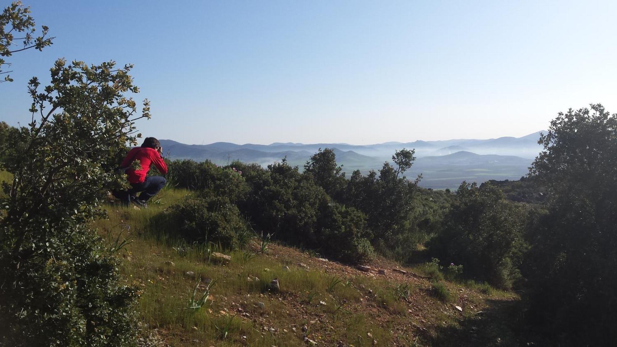 Complejo Turistico Rural Fuente Taray Διαμέρισμα Malagón Εξωτερικό φωτογραφία