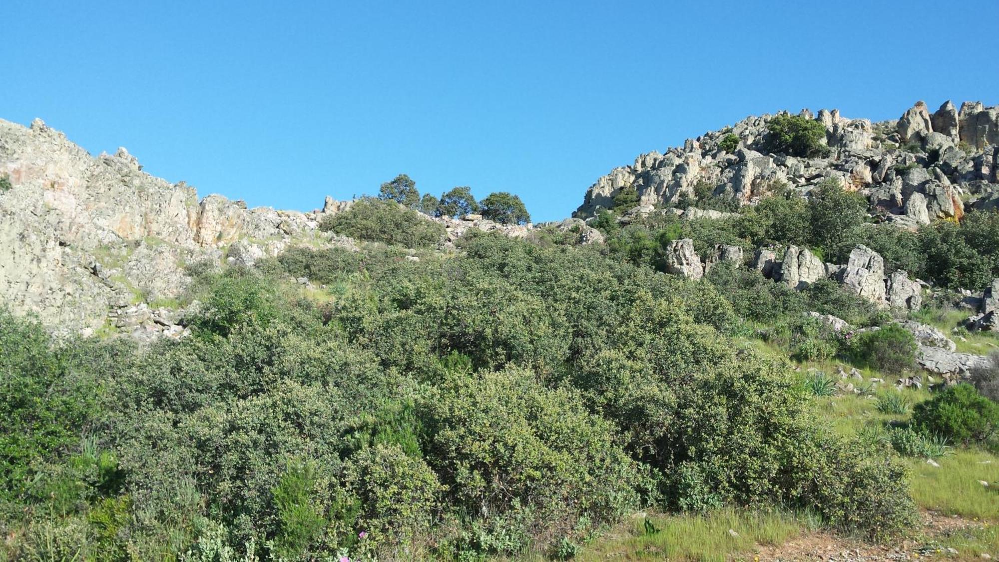 Complejo Turistico Rural Fuente Taray Διαμέρισμα Malagón Εξωτερικό φωτογραφία