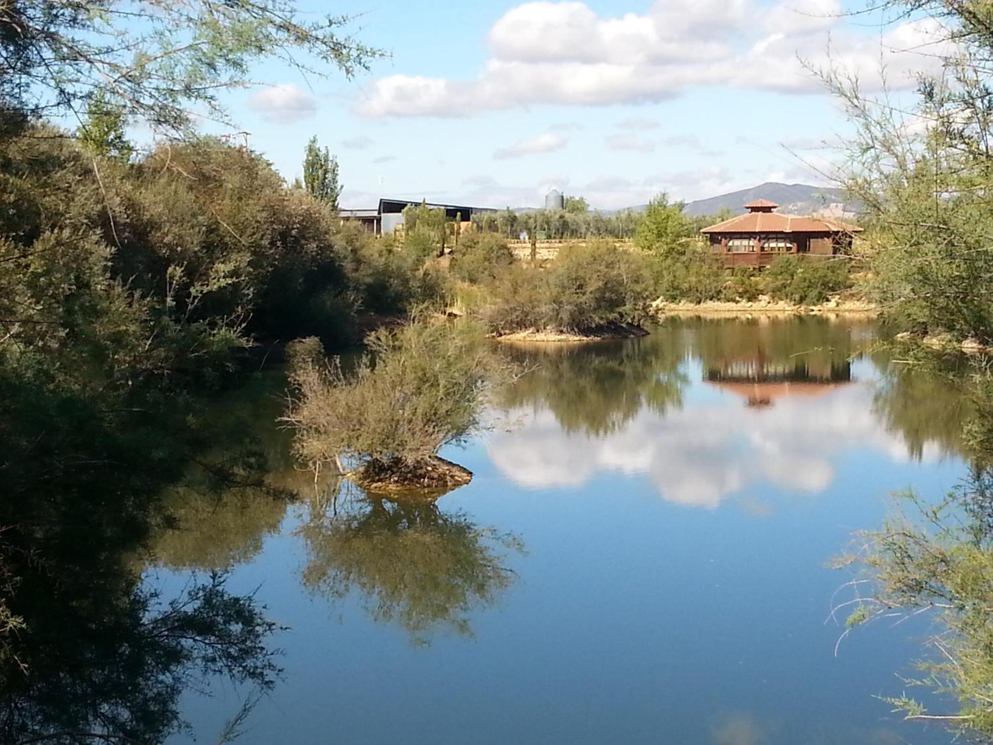 Complejo Turistico Rural Fuente Taray Διαμέρισμα Malagón Εξωτερικό φωτογραφία