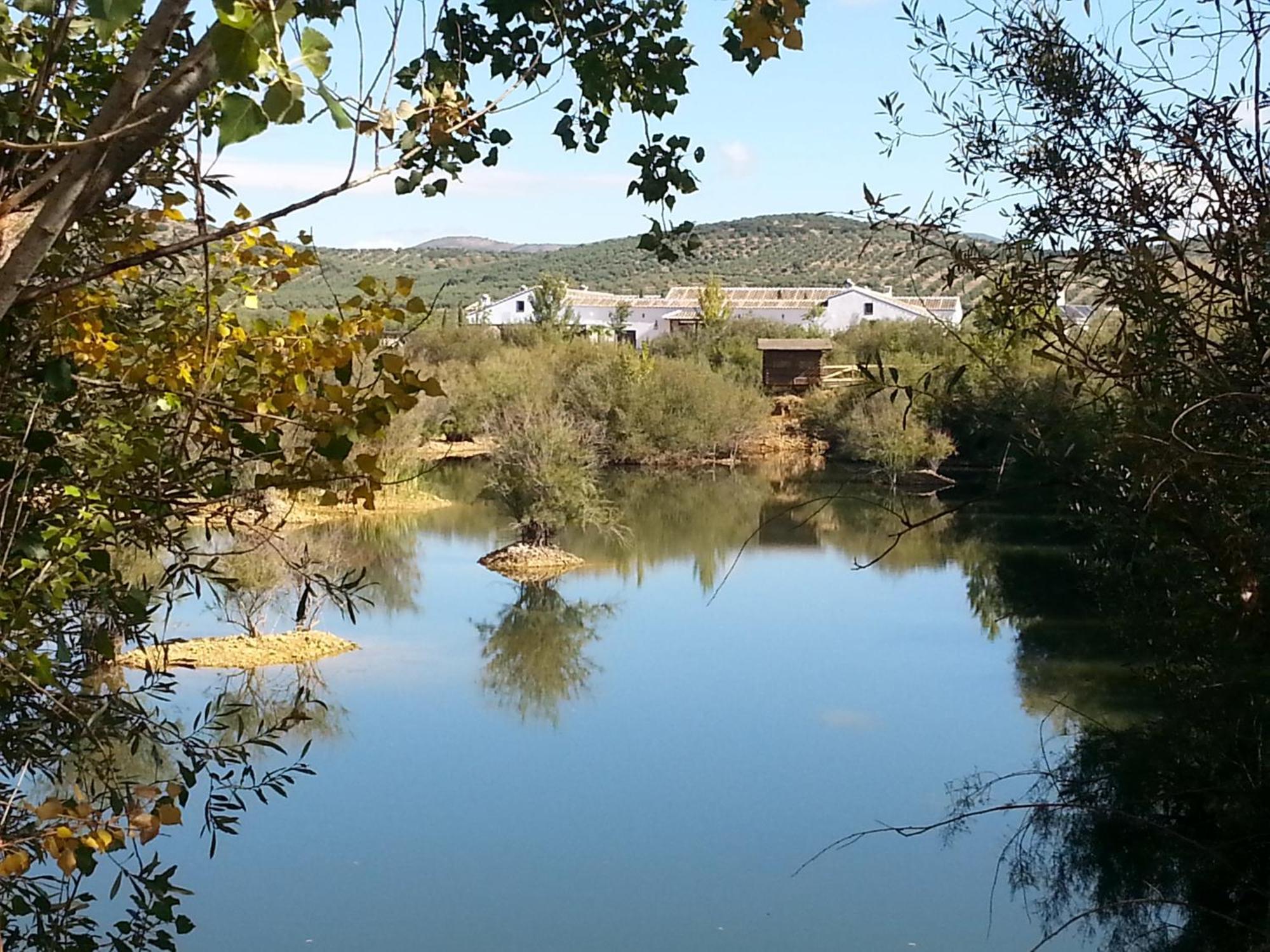 Complejo Turistico Rural Fuente Taray Διαμέρισμα Malagón Εξωτερικό φωτογραφία