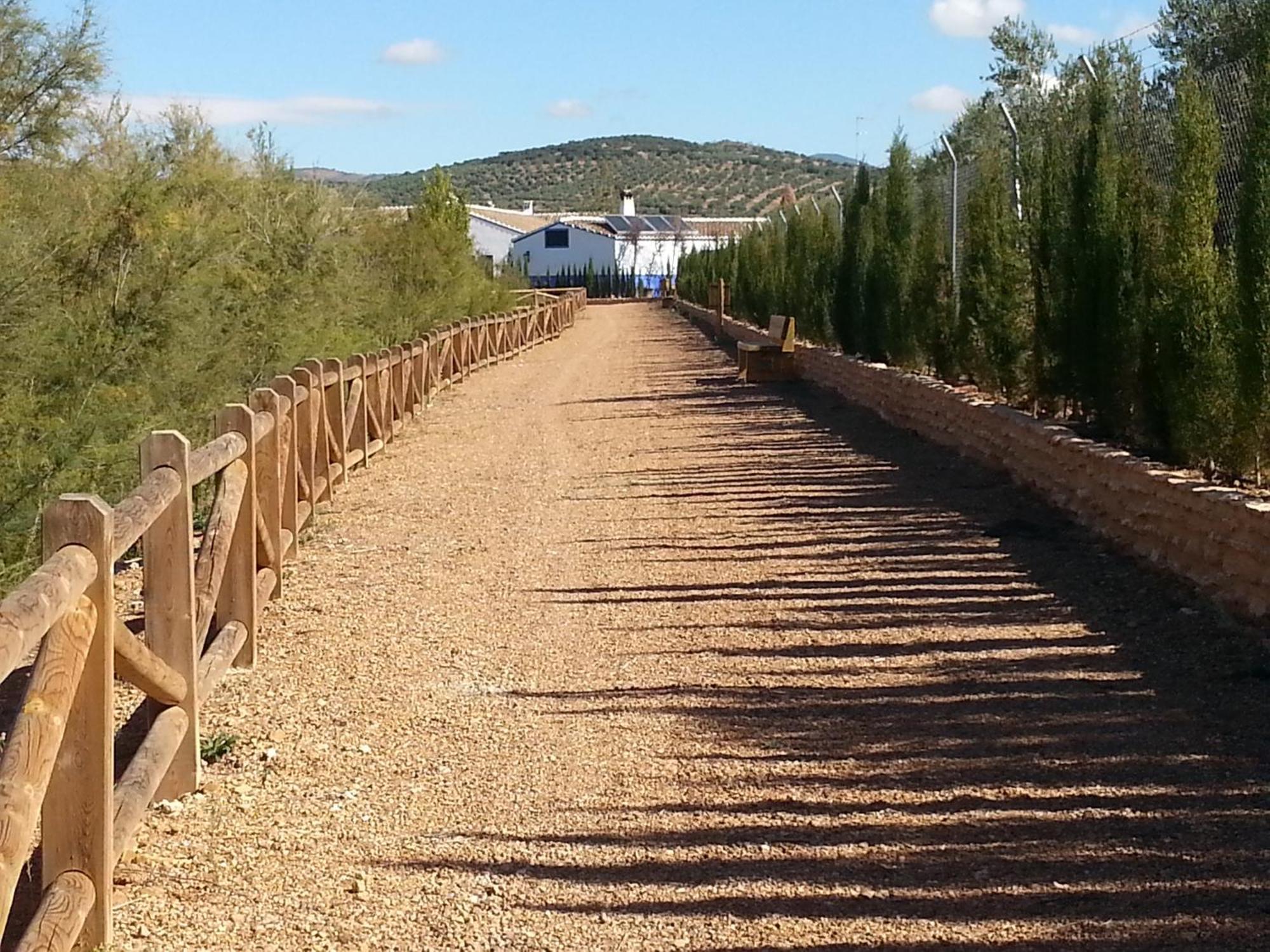 Complejo Turistico Rural Fuente Taray Διαμέρισμα Malagón Εξωτερικό φωτογραφία