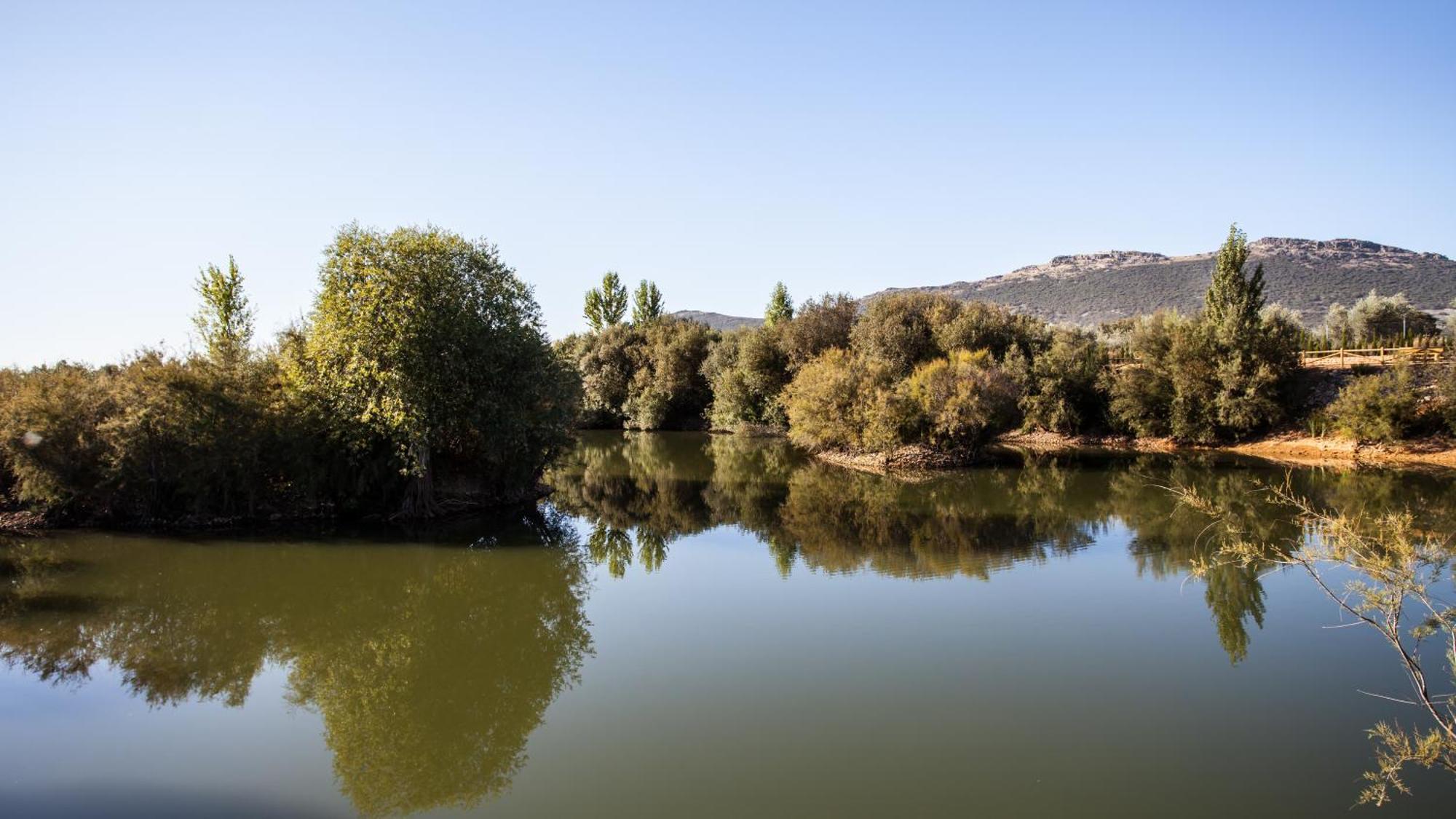 Complejo Turistico Rural Fuente Taray Διαμέρισμα Malagón Εξωτερικό φωτογραφία